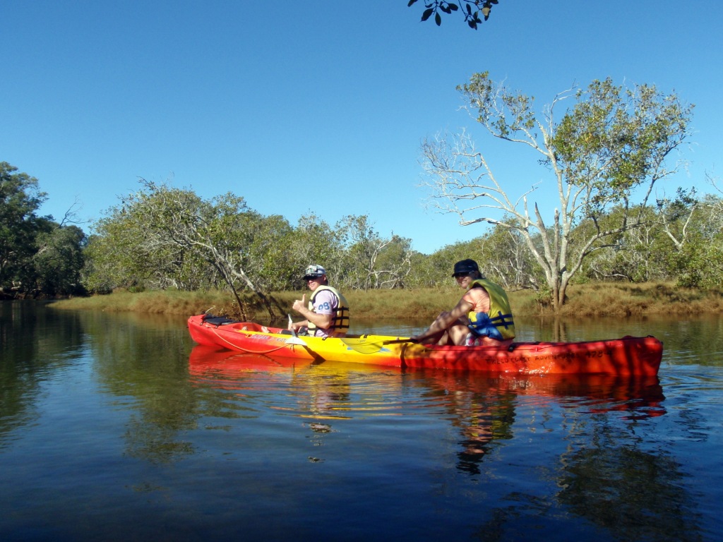 KAYAK TOUR ON CUDGEN CREEK