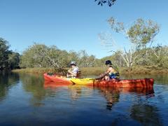 KAYAK TOUR ON CUDGEN CREEK