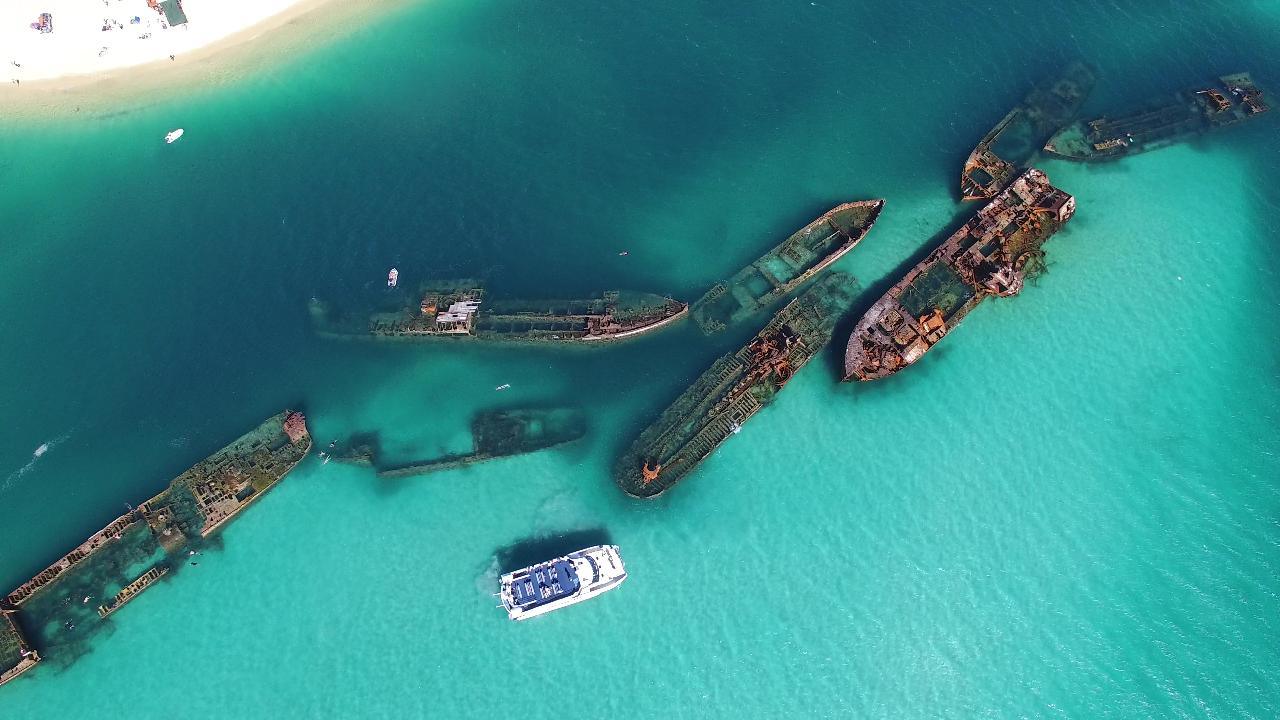 Dolphin & Tangalooma Wrecks Cruise