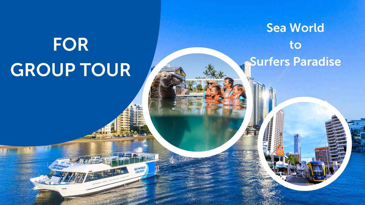 Express Cruise to Surfers Paradise ( Sea World Terminal to Surfers Paradise)