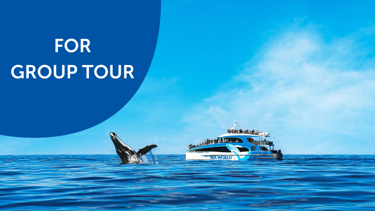 Sea World Whale Watch - Group Tours