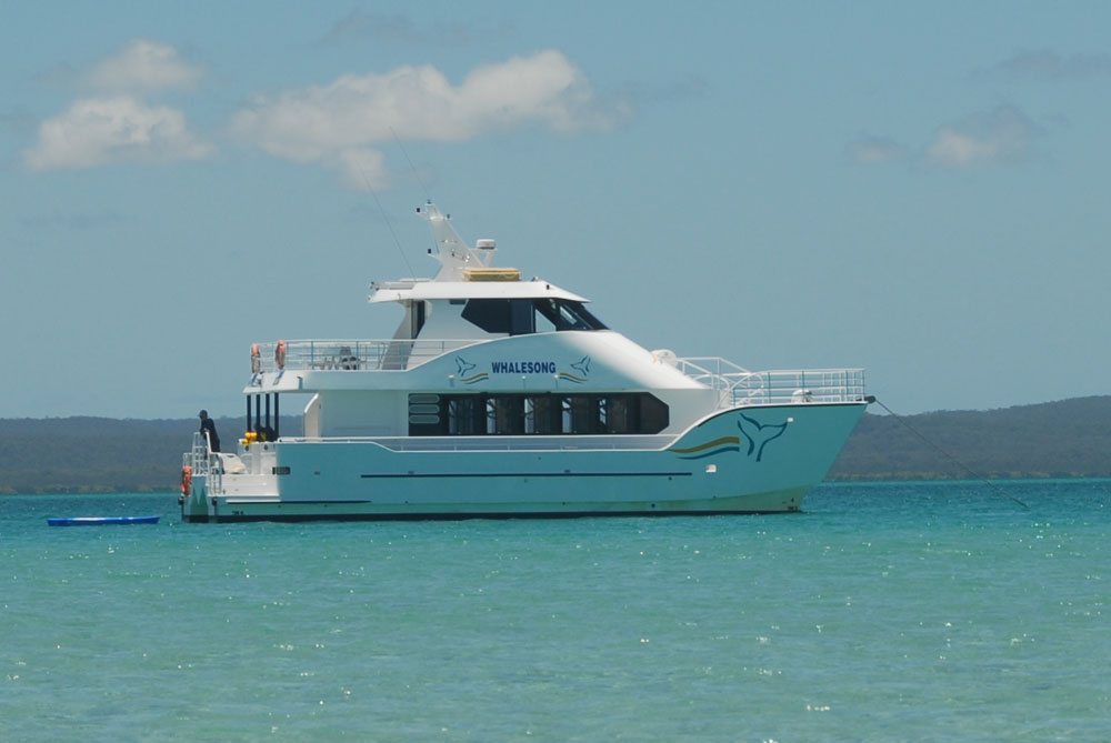 z. Unique Fraser Island Tour + Whale Watch Afternoon Cruise