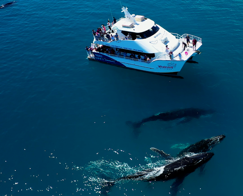 Whale Watch + Fraser Experience Escape Tour Package
