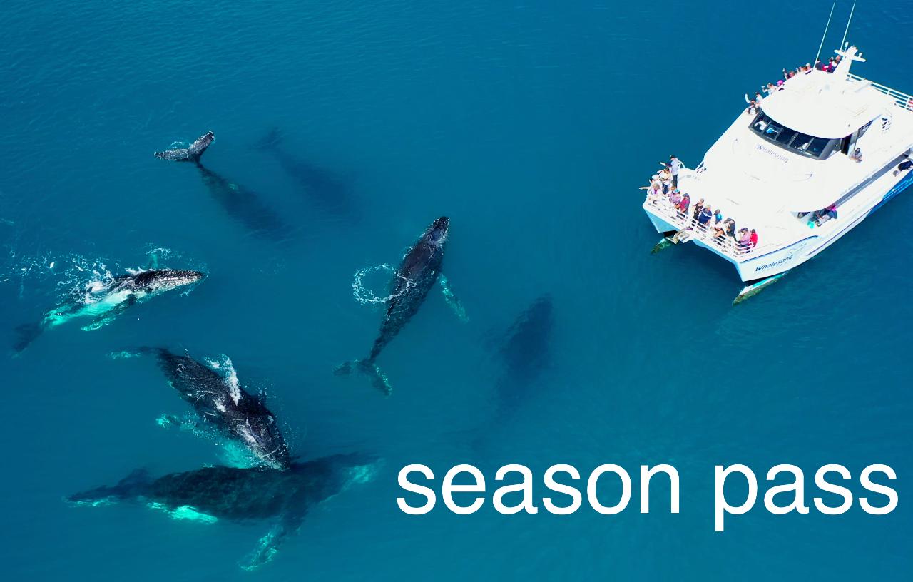 Whale Expert Season pass (20 cruises) - 2023