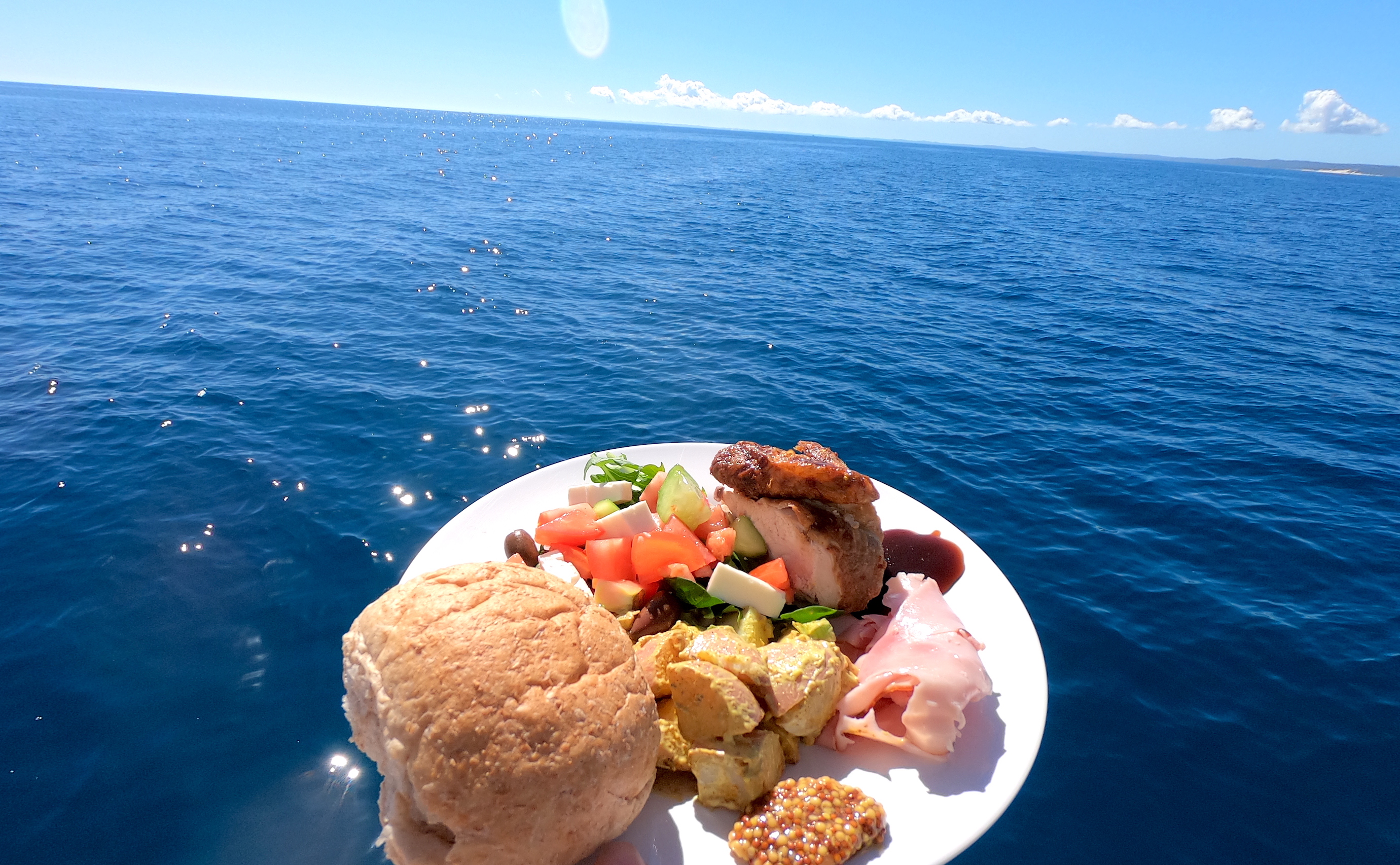 Hervey Bay Whale Search and Dolphin Watch