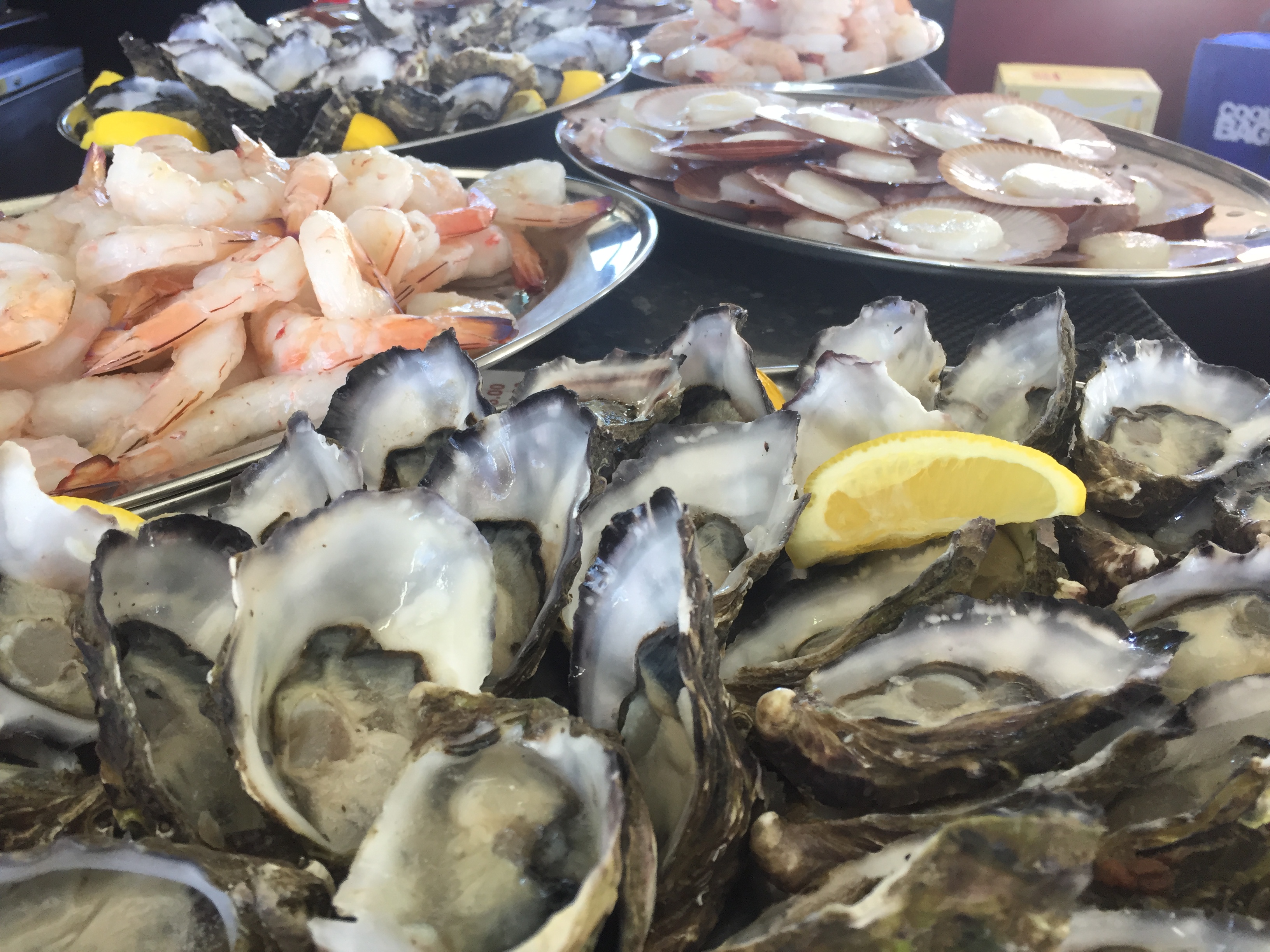 Hervey Bay Sunset Cruise