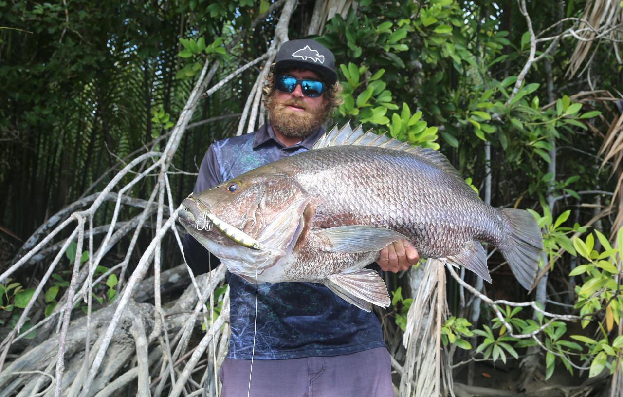 Papuan Coast Expeditions