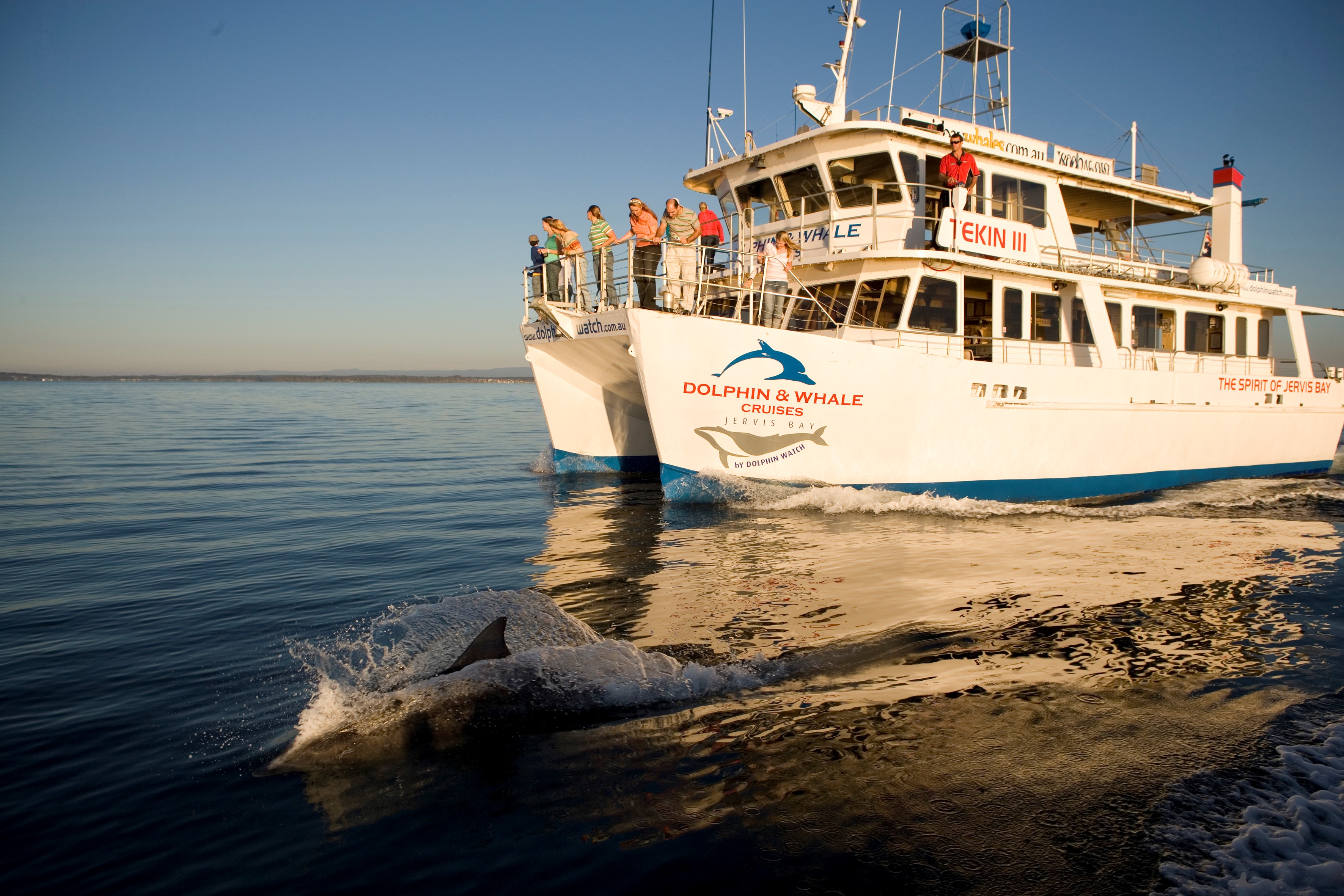 Sydney's Surf 'N' Dolphin Cruise Tour