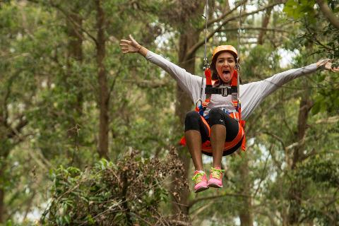 Sydney's Surf 'N' Zipline Adventure Tour