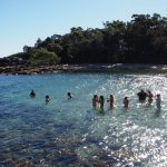 Sydney's Ultimate Bush 'n' Beach Adventure Tour