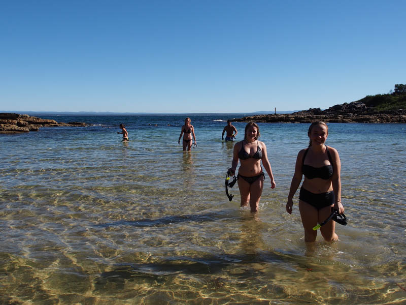 Sydney's Ultimate Bush 'n' Beach Adventure Tour