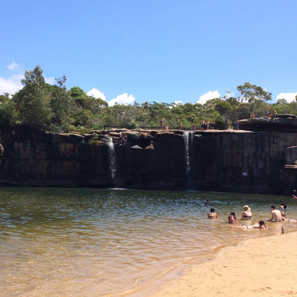 Sydney's Ultimate Bush 'n' Beach Adventure Tour
