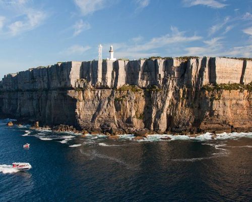 Whale Watching 'N' Wineries Tour