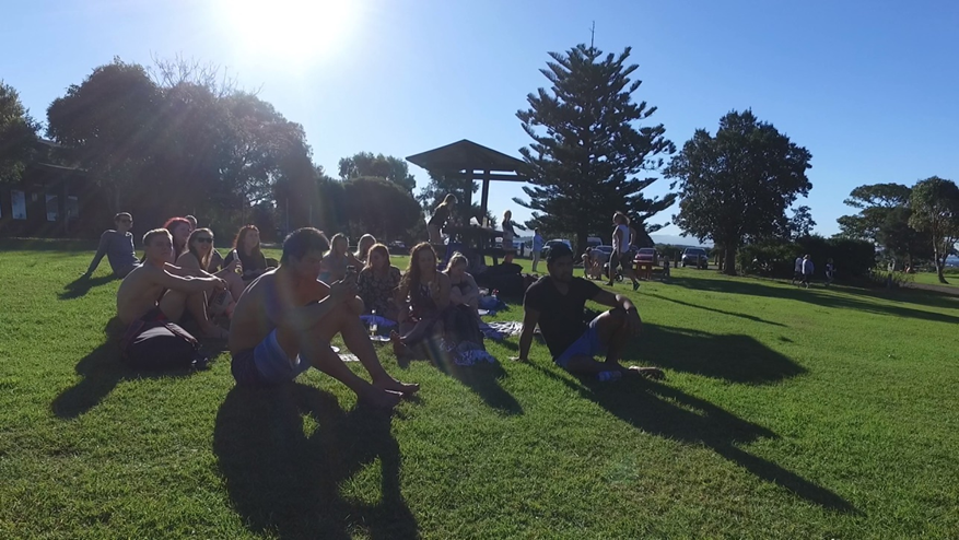 Sydney's Surf 'N' Dolphin Cruise Tour