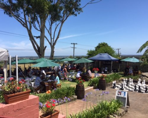 Whale Watching 'N' Wineries Tour