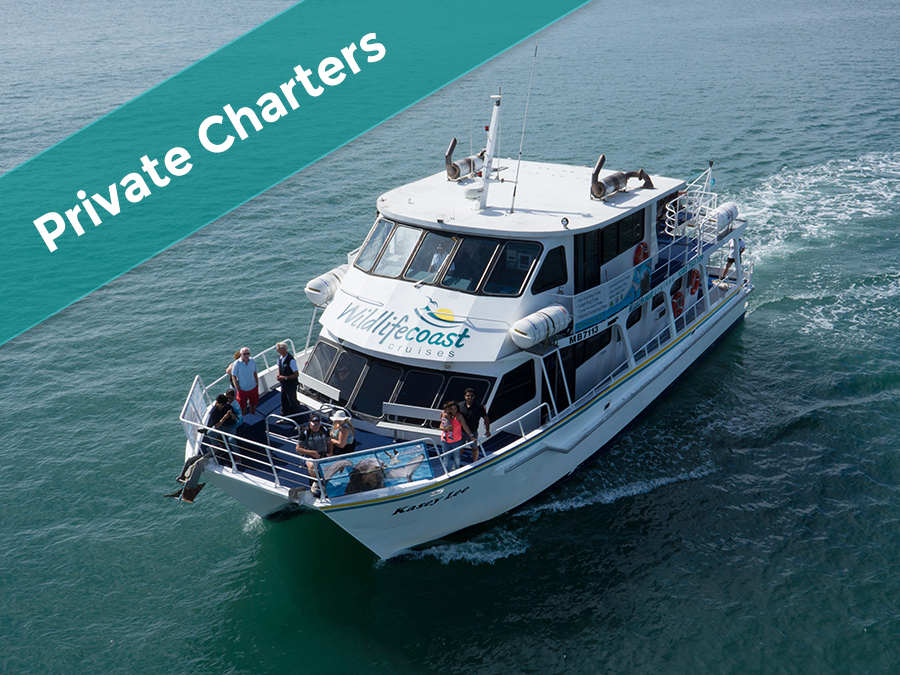 Charter Cruise Enquiry