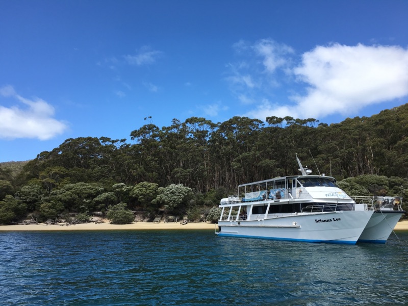 Taste of Wilsons Prom