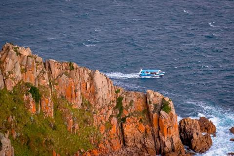 Ecoboat Cape Tour