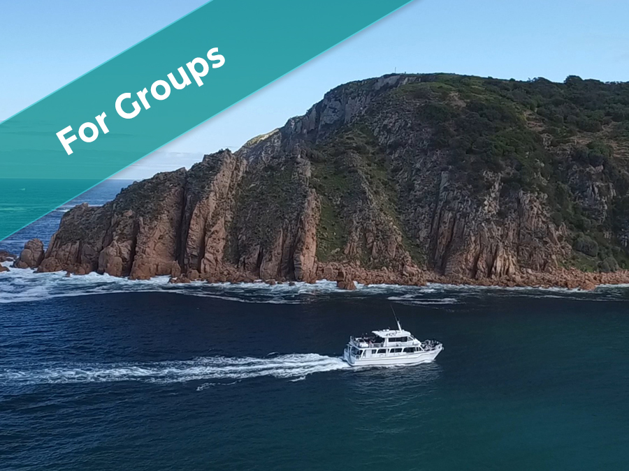 Groups - Phillip Island - Lunch Cruise