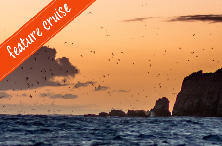 Shearwater Twilight Cruise