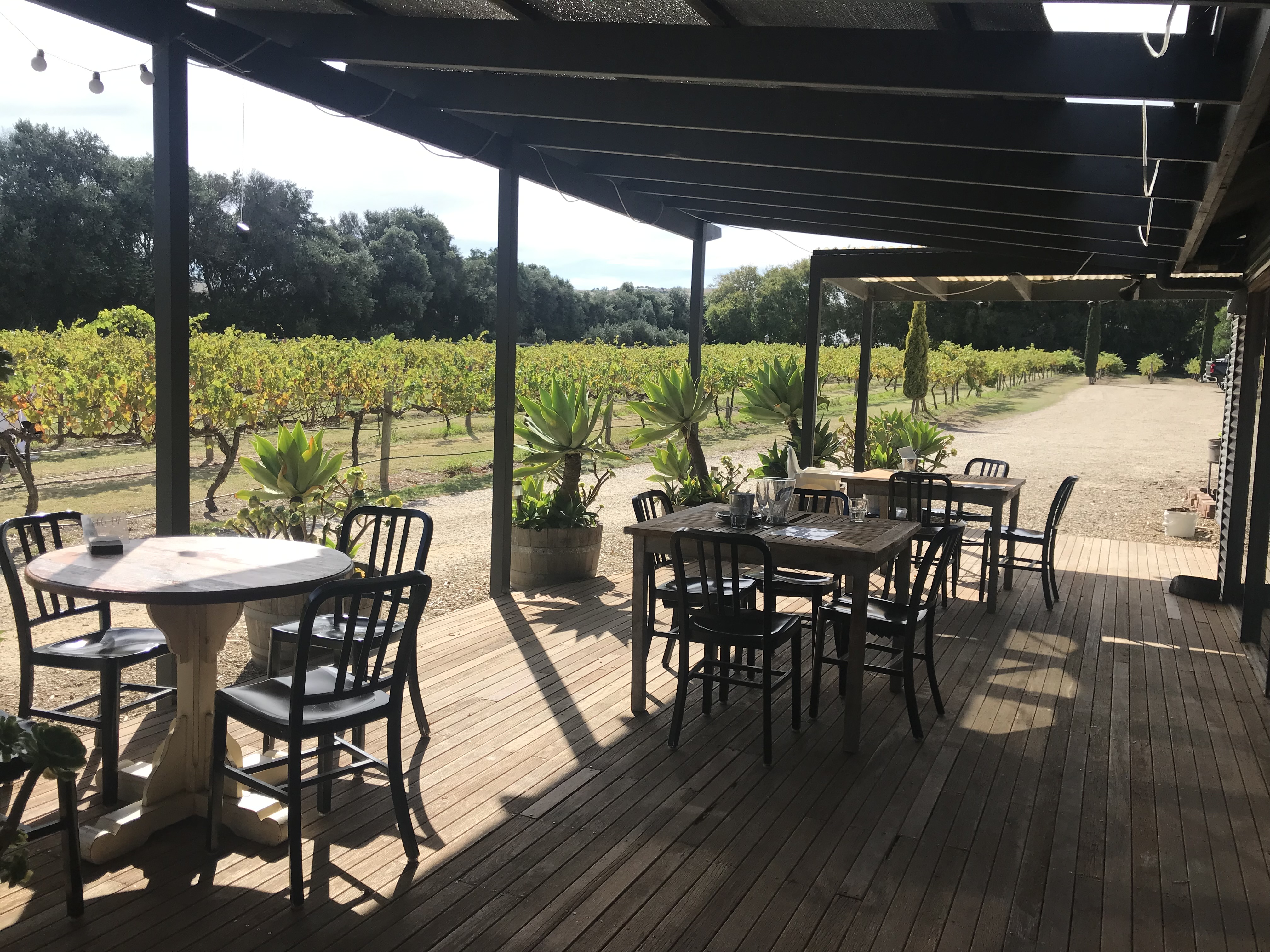 FLEURIEU PENINSULA FULL DAY WINE TOUR