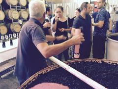 Adelaide Hills Full Day Private Wine Tour