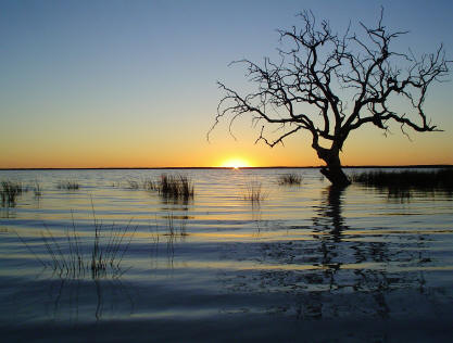 Coongie Lakes (2 Hours)