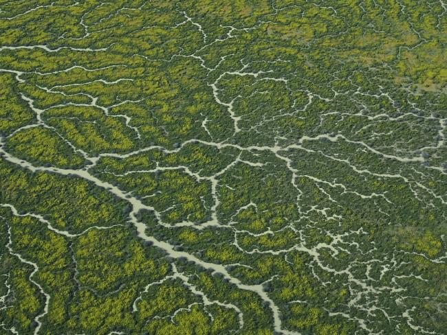 The Channel Country - Diamantina and Goyders Lagoon (90 Minutes)