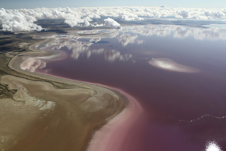 The Lake Eyre Day Tour ex Birdsville (4 Hours)