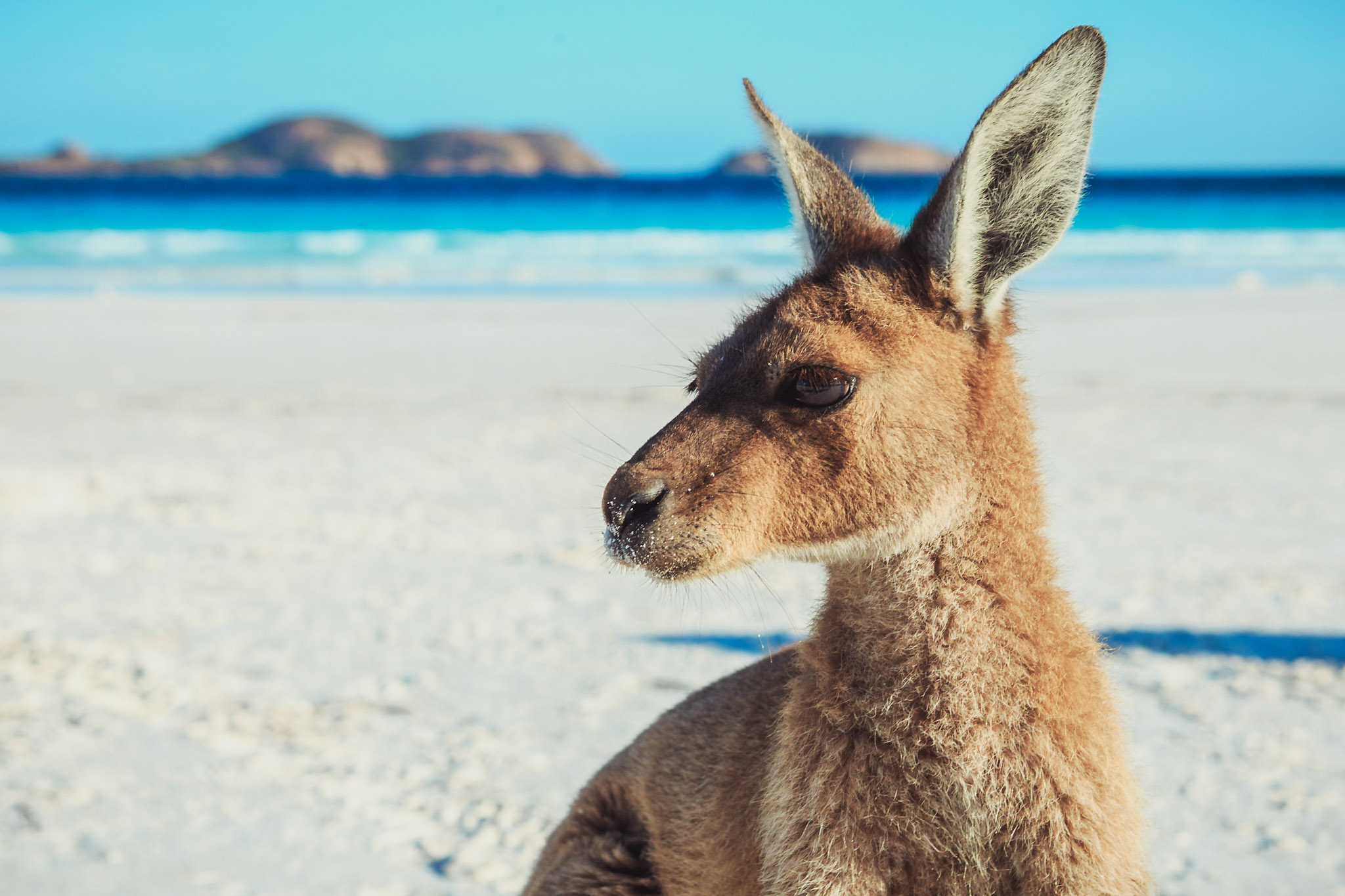 Nullarbor Traveller: 10-Day Adelaide to Perth Adventure Tour 