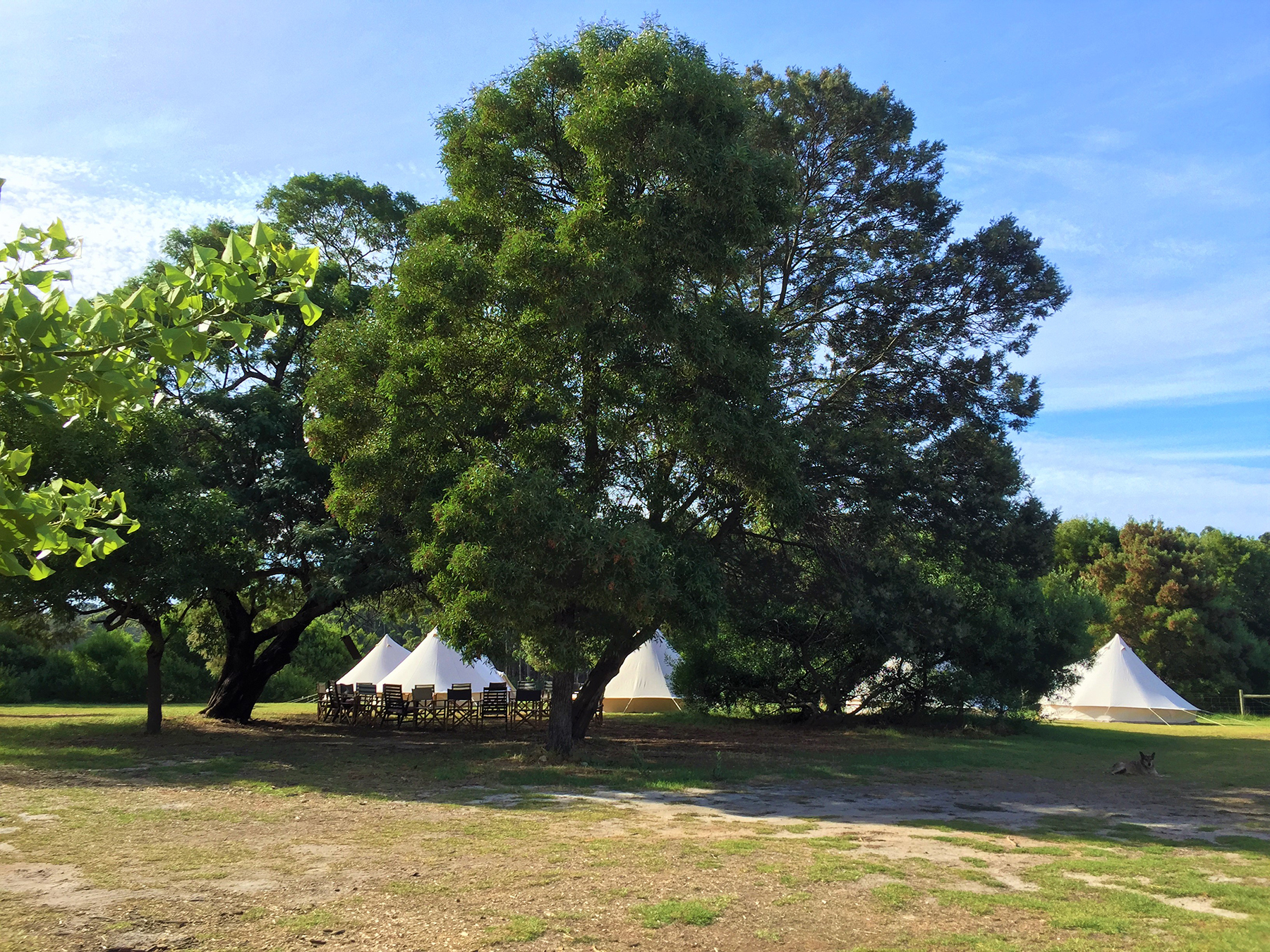 3-Day Margaret River Yoga Glamping Retreat Tour from Perth