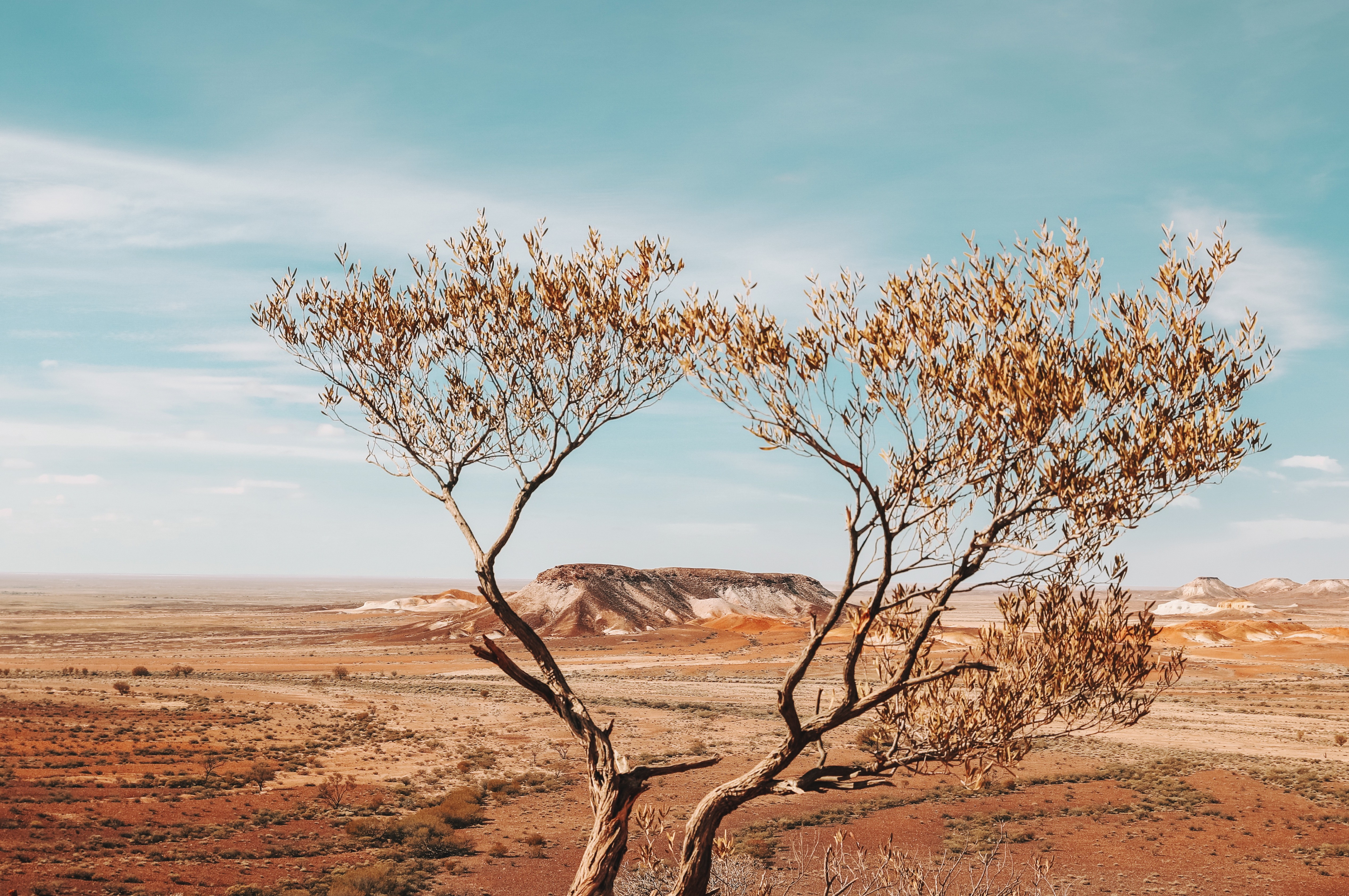8-Day Uluru to Adelaide Tour from Uluru: Kings Canyon/Watarrka, Coober Pedy, William Creek and Flinders Ranges NP