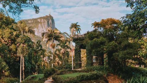 Río Naturaleza - Bosque de Tijuca y Jardín Botánico