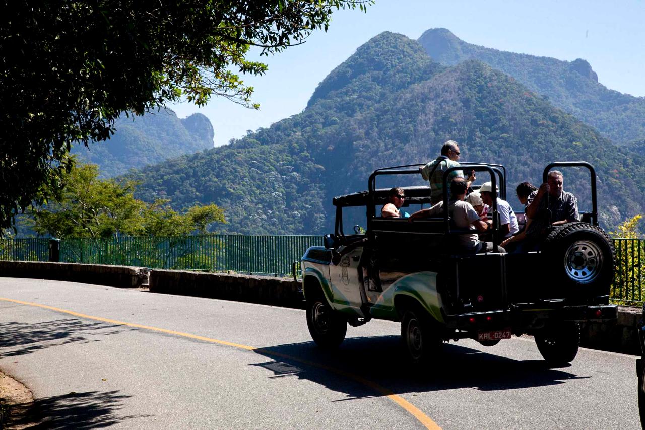 Jeep Tour Tijuca Forest and Santa Teresa
