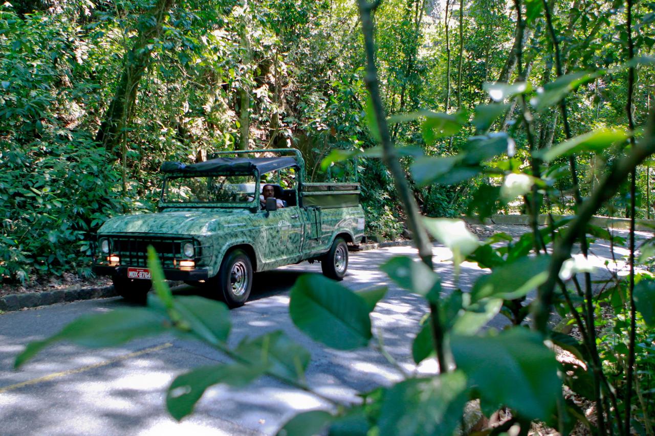 Jeep Tour Floresta da Tijuca