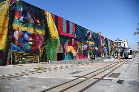 06_Mural_Kobra