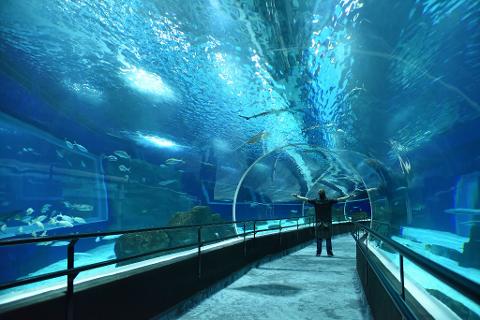 10_AquaRio