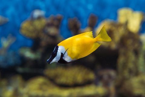 a75698a04bc74a62a20dbfe0a2d515c609_AquaRio