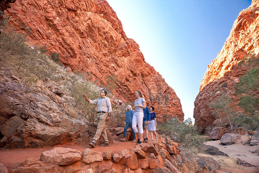 West MacDonnell Ranges Private Day Tour