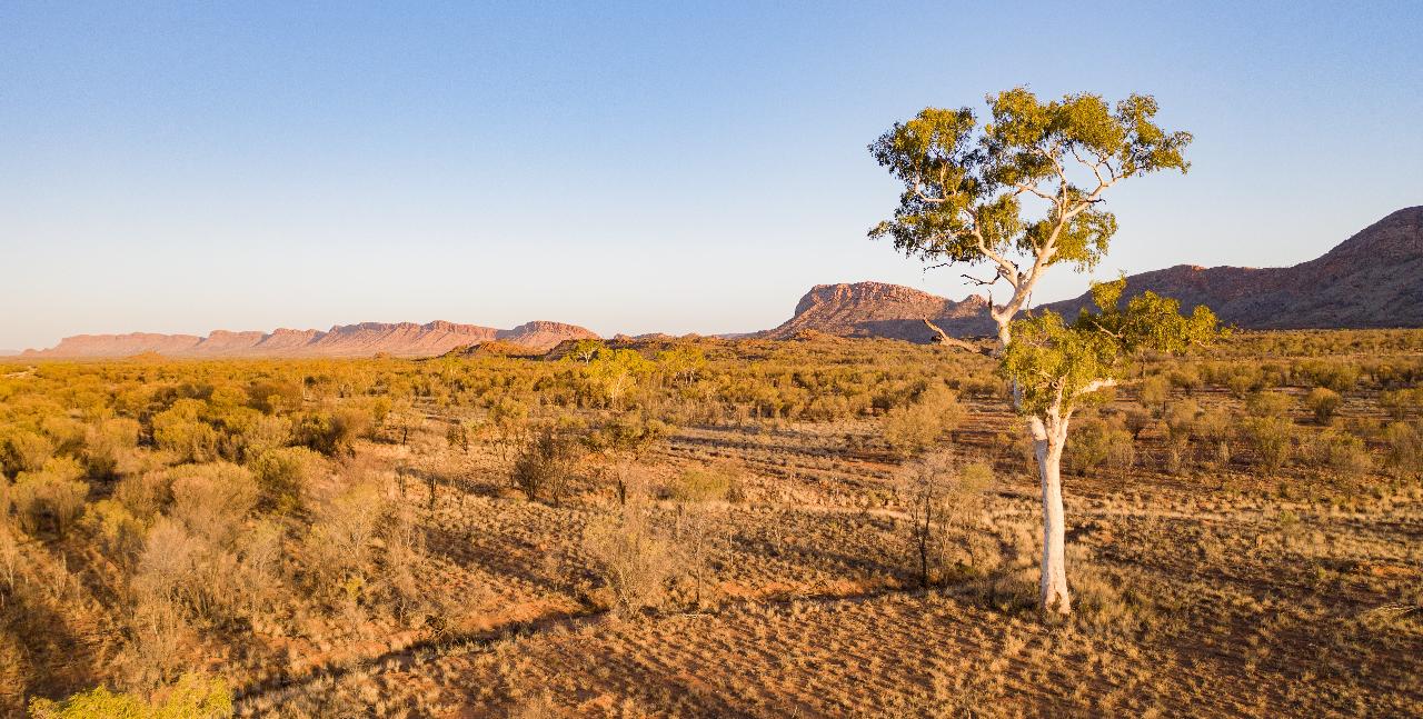 1 Day West MacDonnell Ranges Tour (OTA)