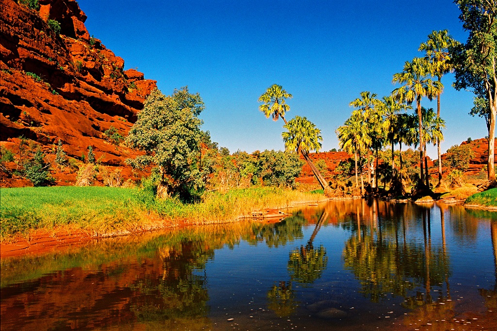 1 Day Palm Valley Tour