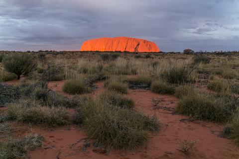 4 Day / 3 Night Uluru to Uluru Camping Tour Package