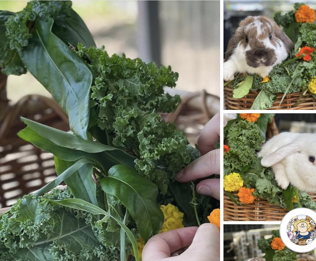 1hr Personal Animal Tour