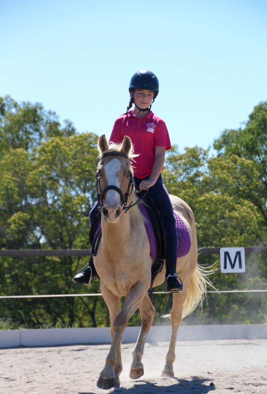 Farm Animal & Horse Ride Experience (Package)