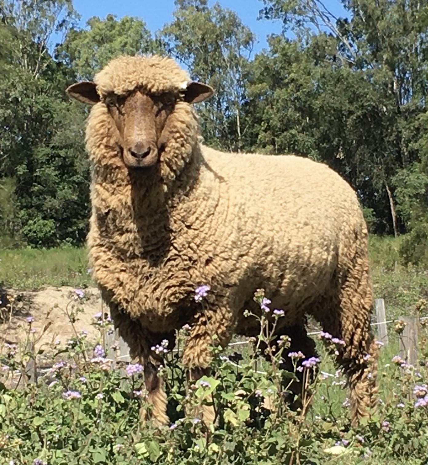 3hr Personal Animal Tour