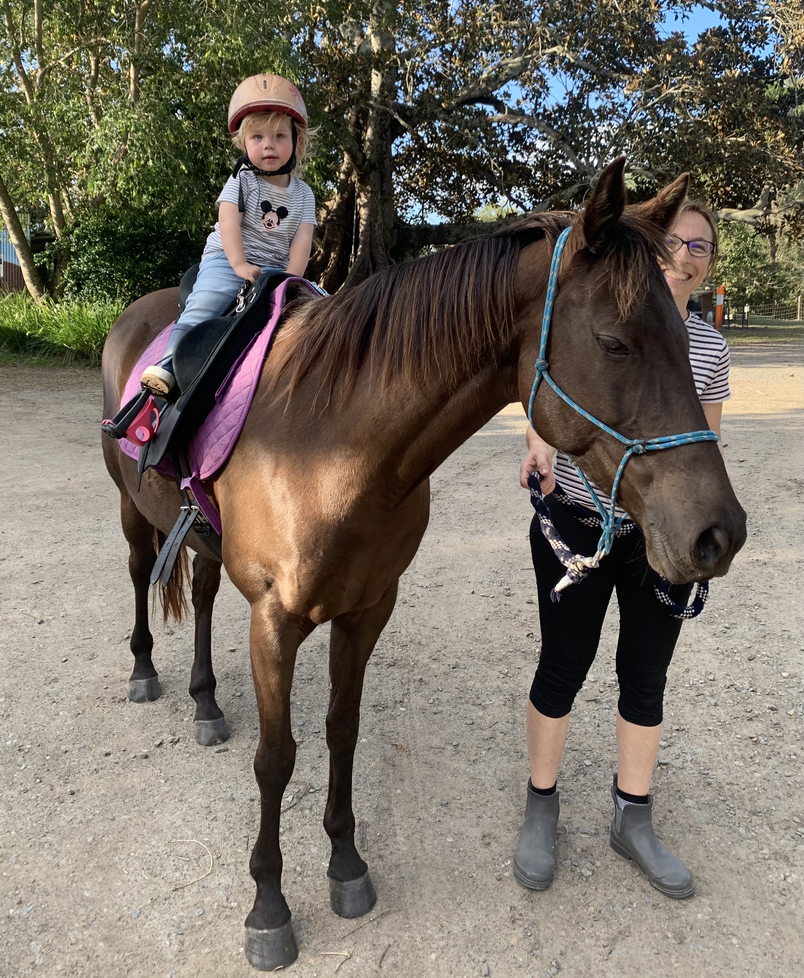 15min Horse Riding Experience