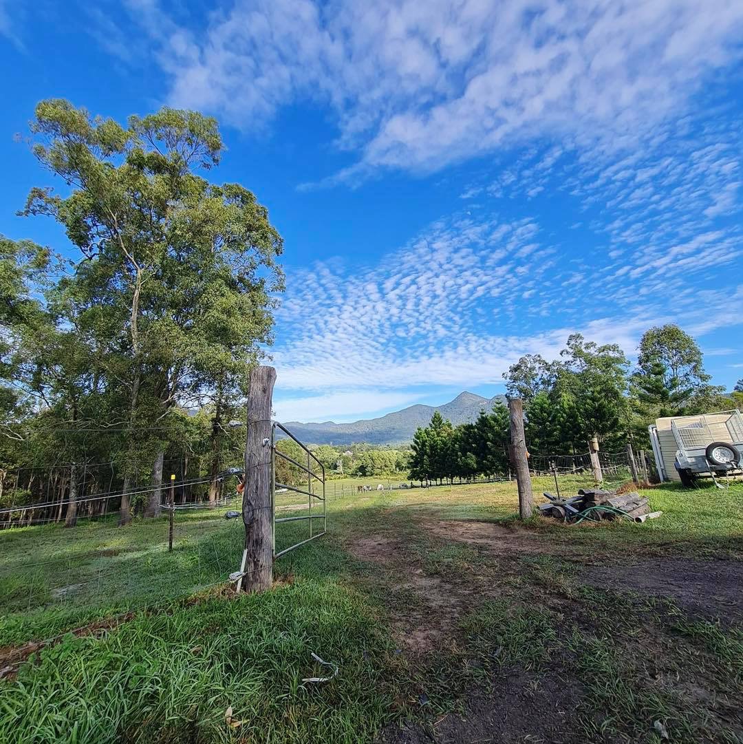 1hr Animal Experience (general public)