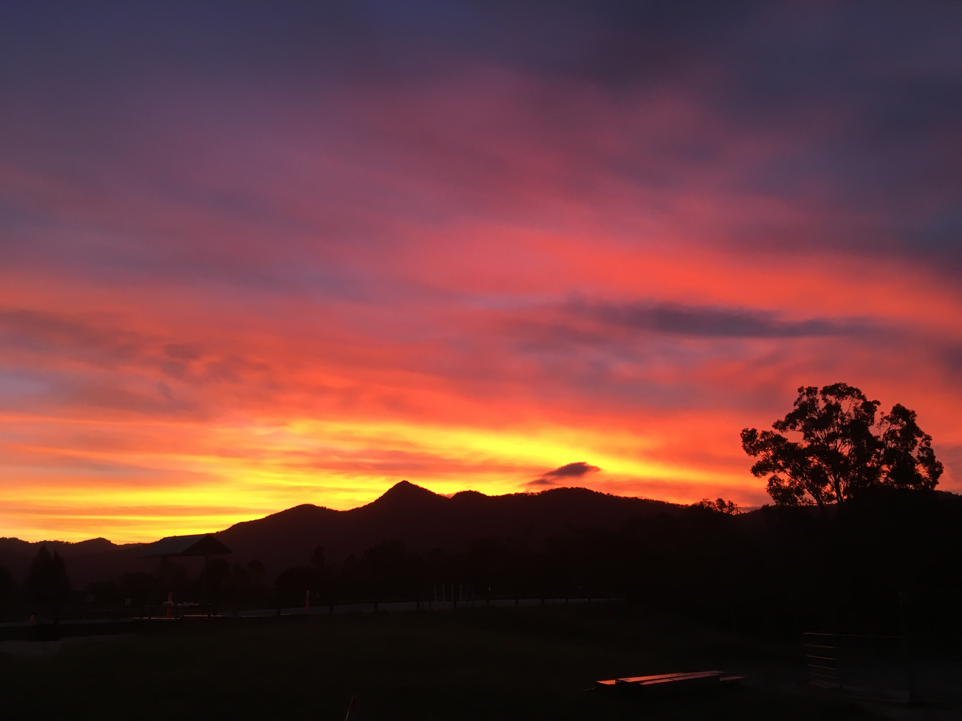 1hr Animal Experience (general public)