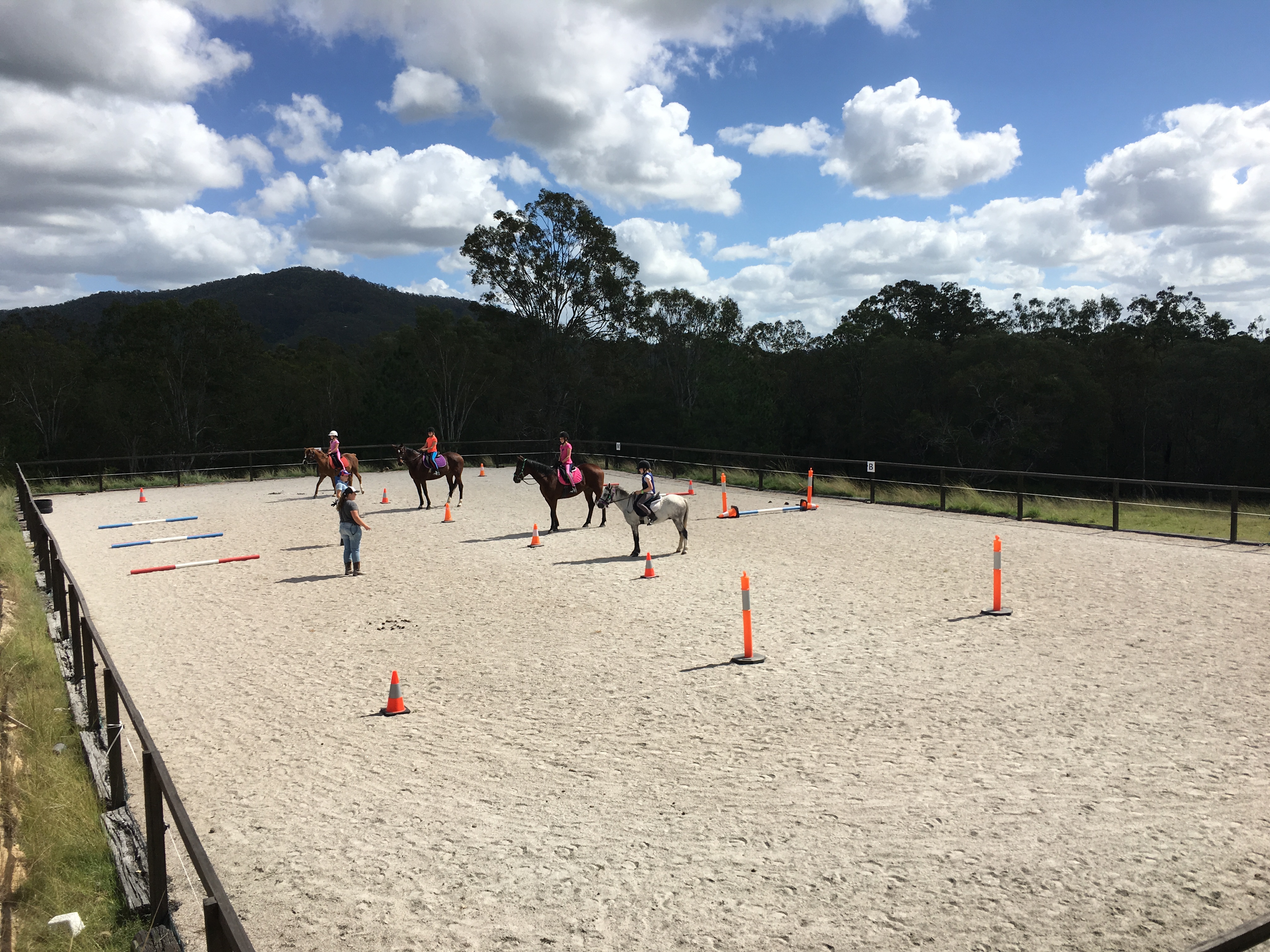 15min Horse Riding Experience