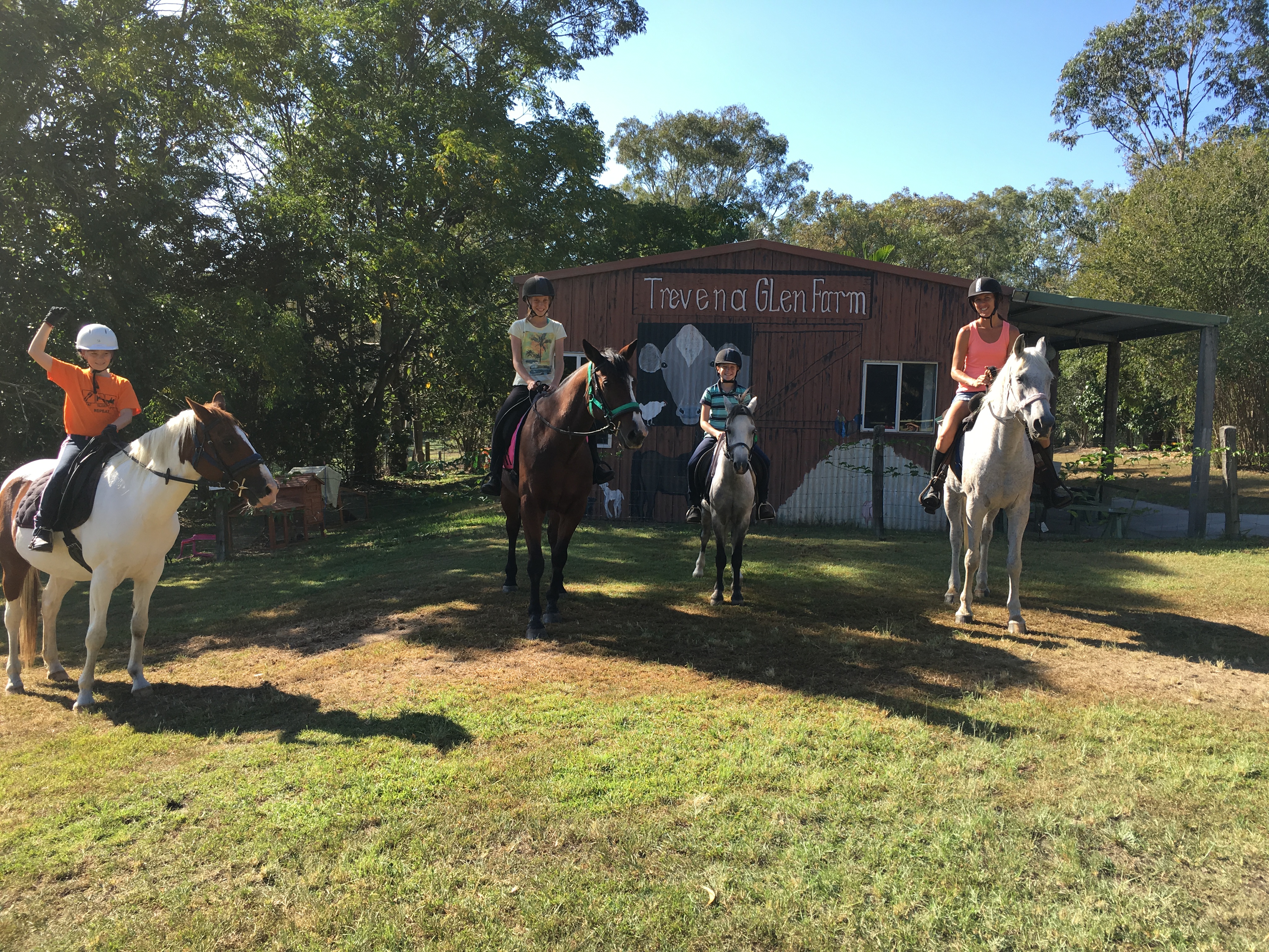 15min Horse Riding Experience